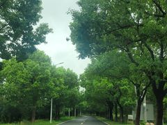 -同里国家湿地公园