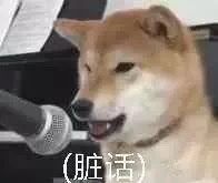 -直隶安家牛肉罩饼(建华店)