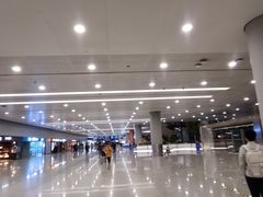 -上海浦东国际机场-T2航站楼