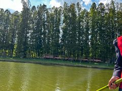 -黄海国家森林公园