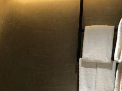 -新加坡瑞士史丹福酒店