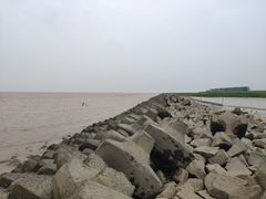 -南汇嘴观海公园