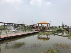 -同銮特种养殖场·龙虾垂钓