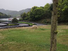-石燕湖生态旅游景区