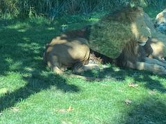 -北京野生动物园