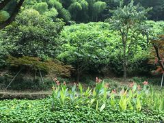 -杭州黄龙洞