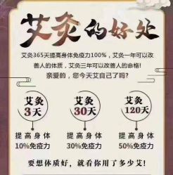 -玛莲朵·海菲秀冰珀科