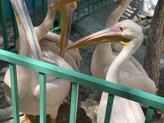 -水上乐园·欢乐世界