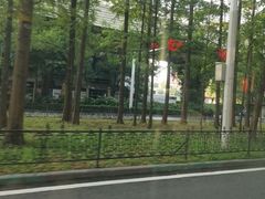-苗姑酒堂(仁义社区店)
