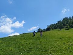 -关山草原