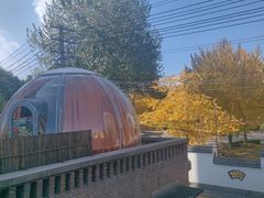 -羊门客在·烤盐池滩羊·川菜