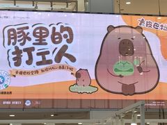 -凯德MALL(西直门店)