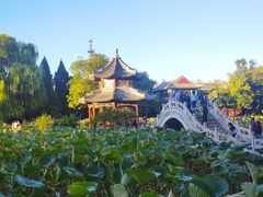 -莲池书院博物馆