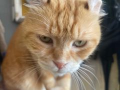 -平行世界·猫咖(首经贸店)