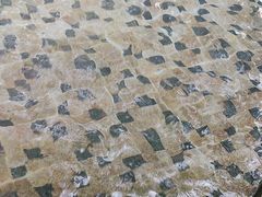 -碧水湾温泉