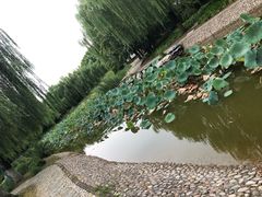 -丰台科技园生态主题公园