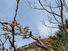 -云峰山自然风景区