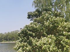 -长春市南湖公园