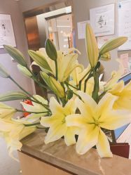 -FineYoga梵音瑜伽·普拉提