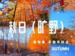-白水寺森林公园