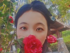 -王借岗森林公园