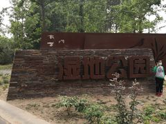 -东郊湿地公园