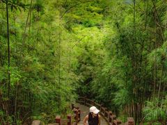 -广州白江湖森林公园