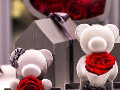 -ROSEONLY诺誓(广州K11店)