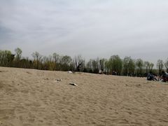 -东郊湿地公园