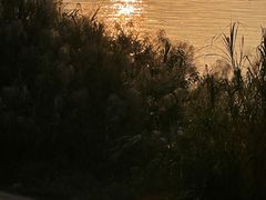 -武昌江滩