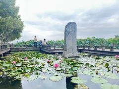 -西湖游船
