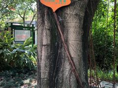 -广东金融学院(校本部)