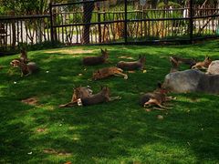 -祥源·阜阳生态乐园