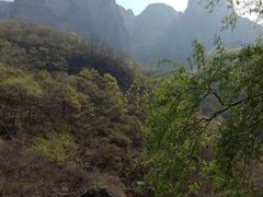 -云台山风景名胜区