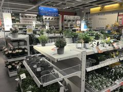-宜家家居(哈尔滨商场店)
