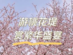 -桃花堤公园