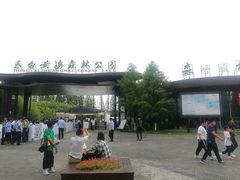 -黄海国家森林公园