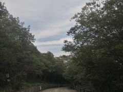 -紫金山山顶公园