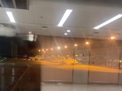 -青岛胶东国际机场