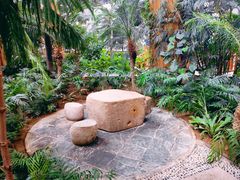 -南宫五洲植物乐园