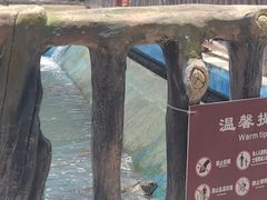 -广东惠东海龟国家级自然保护区