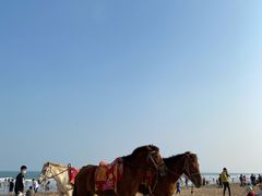 -东海岛旅游度假区