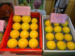 -南宁国际会展中心