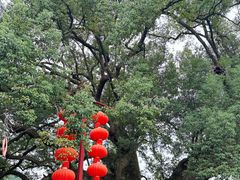 -新安江山水画廊风景区