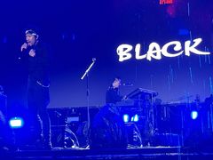 -春花秋色城市公园