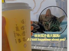 -这儿没有猫·猫咖萌宠馆·撸猫