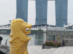 -新加坡瑞士史丹福酒店