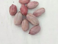 -家乐福(金观音店)