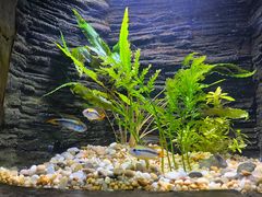 -上海海洋水族馆