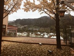 -重庆南山海昌汤都